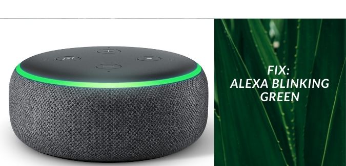 Pourquoi Alexa clignote-t-elle en vert ? [Résolu]