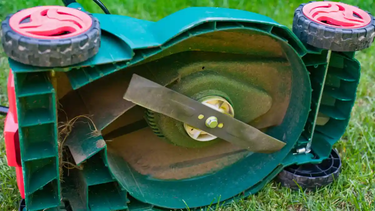 Lawn Mower Blade