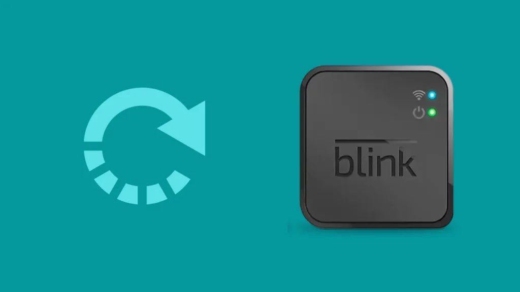 reset blink sync module